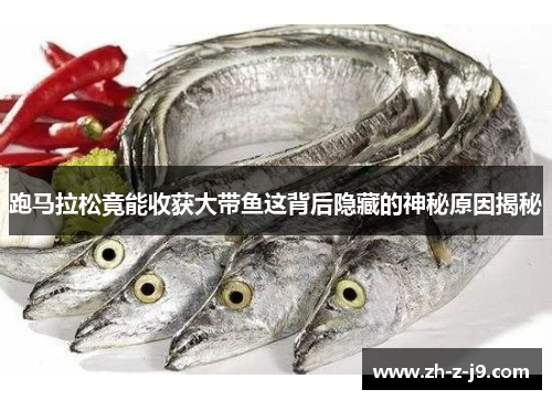 跑马拉松竟能收获大带鱼这背后隐藏的神秘原因揭秘