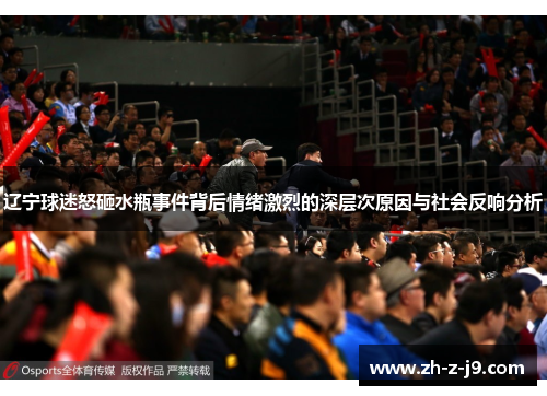 辽宁球迷怒砸水瓶事件背后情绪激烈的深层次原因与社会反响分析