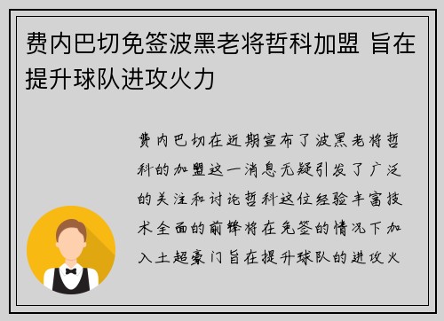 费内巴切免签波黑老将哲科加盟 旨在提升球队进攻火力